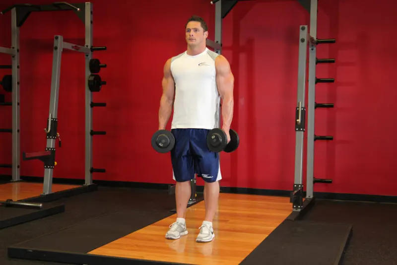 Shrugs met dumbbells